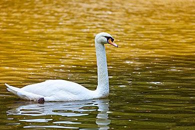 《消逝的光芒2》将于下月再次更新 加入装备幻化系统
