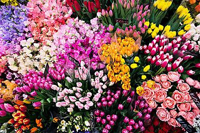 VR挖掘机模拟游戏《DIG VR》Steam页面 3月20日发售