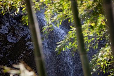 世嘉经典游戏《超级忍》系列宣布将改编真人电影